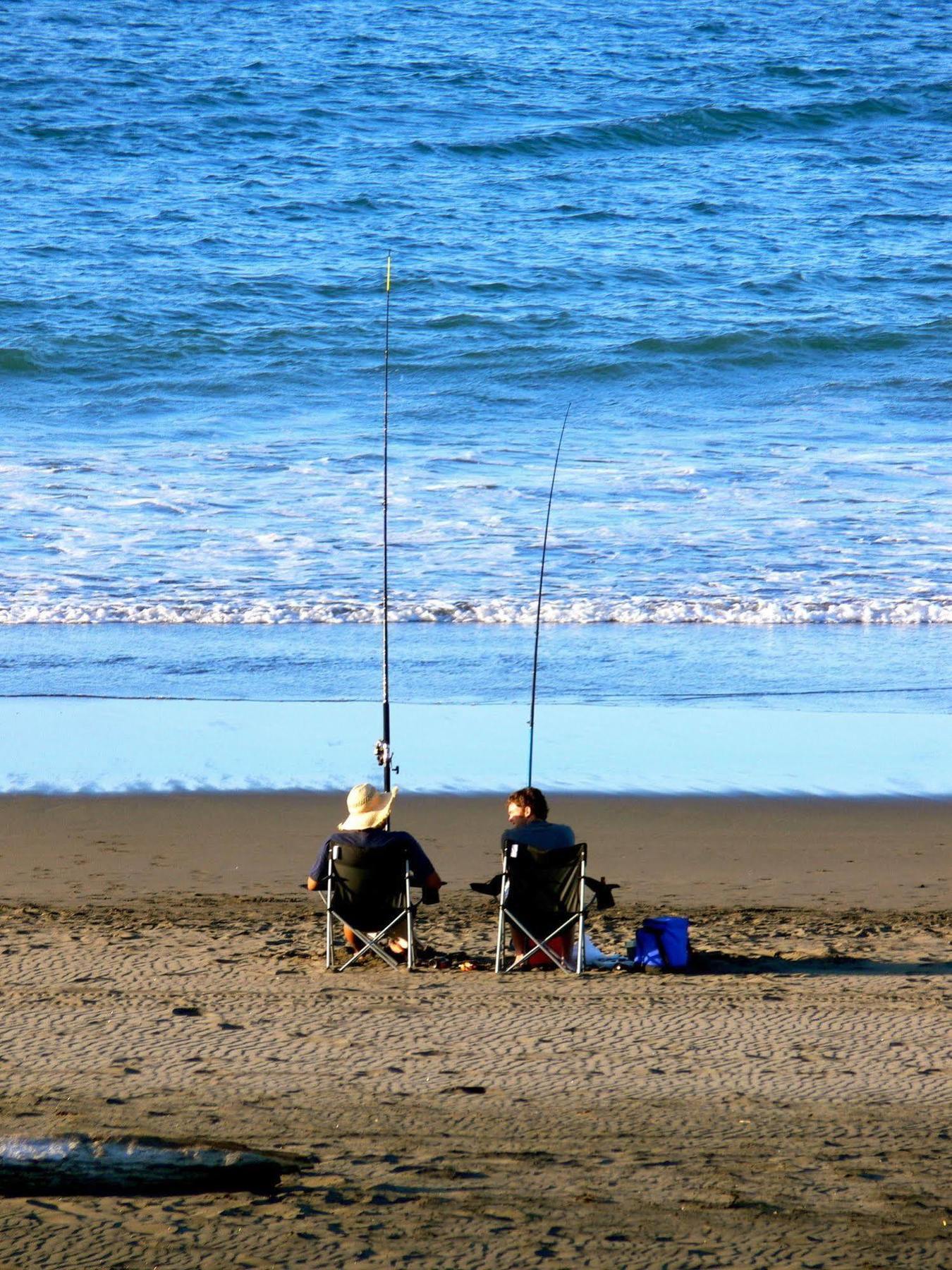 Oakura Beach Holiday Park Dış mekan fotoğraf