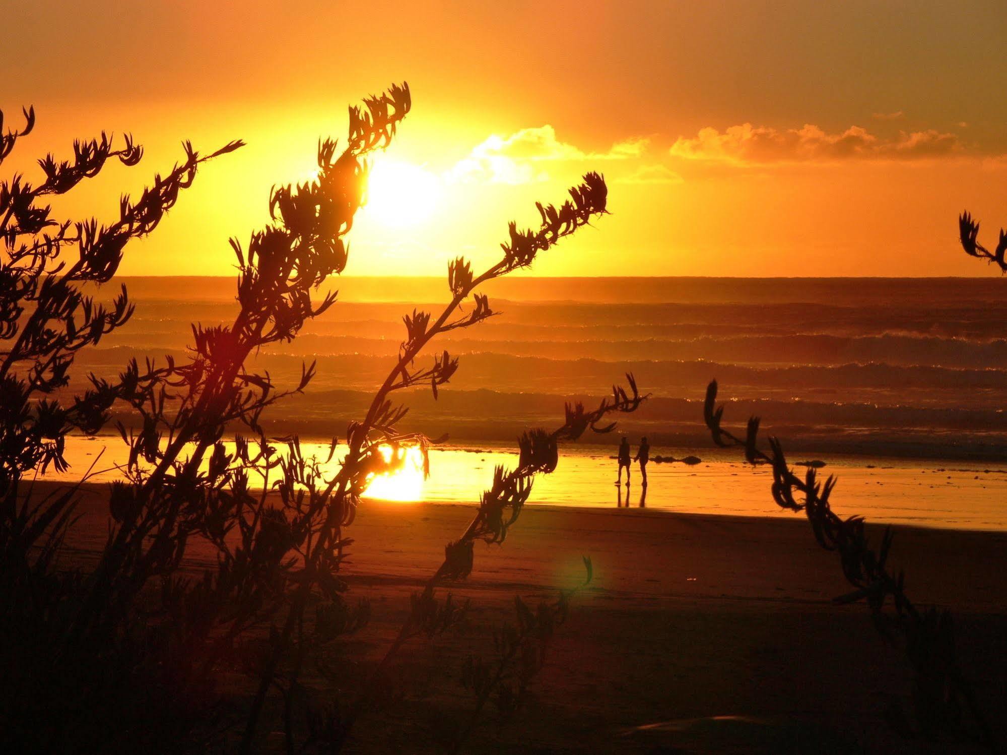Oakura Beach Holiday Park Dış mekan fotoğraf